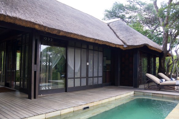 Phinda Vlei cottage