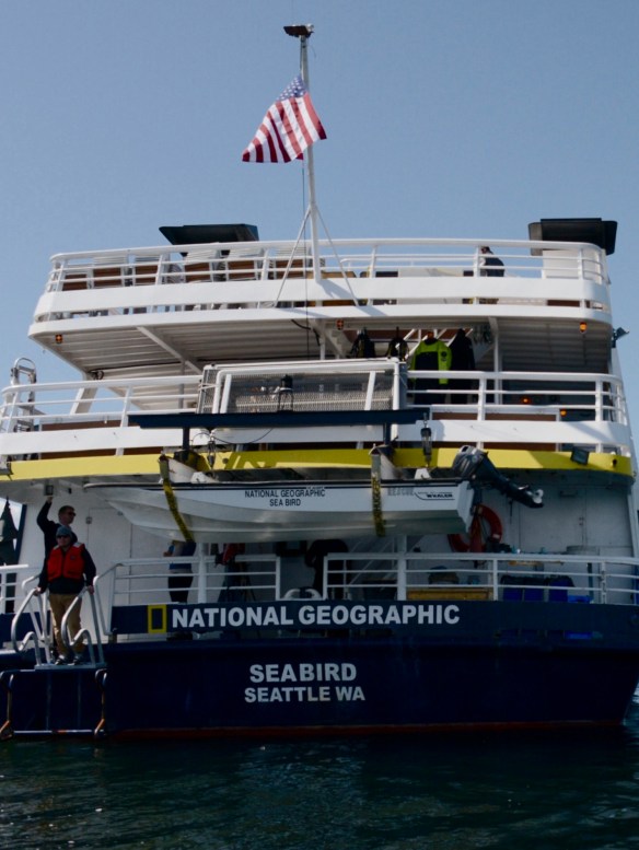 Returning from an exciting adventure