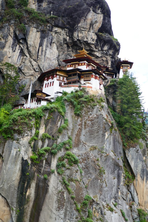 We actually made it!! 18,600 steps, 8miles It took us 5 hours up and down. 