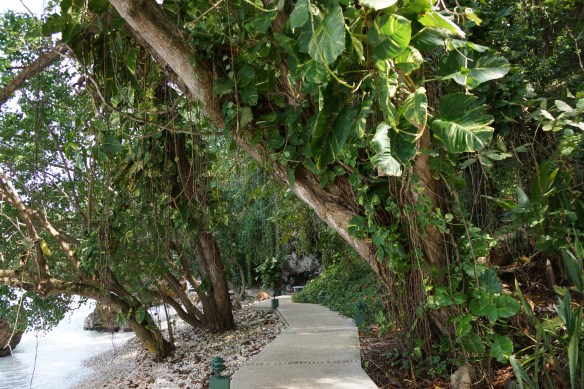 Walk way along the ocean Round Hill